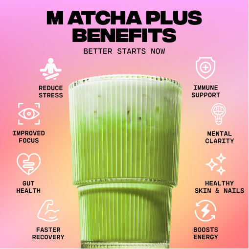 Matcha+ Starter Kit (30 Servings) - Lite Edit Routine